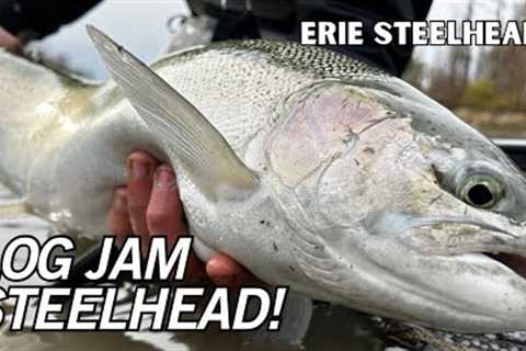 Get me a CHAINSAW! Fishing For GIANT Steelhead In Log Jams. [Erie Steelhead]