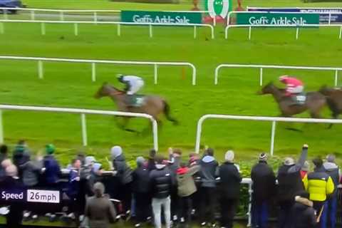 Horse Racing Fans Left Confused by Unusual Celebration at Gowran Park