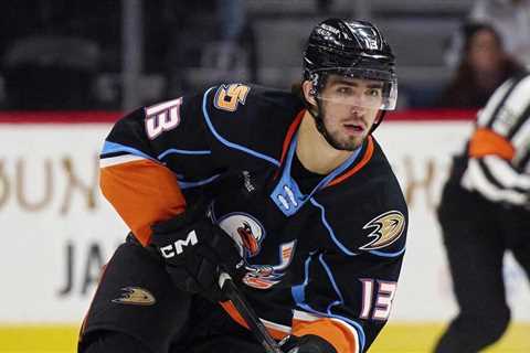 Gulls’ Nesterenko named AHL Player of the Week | TheAHL.com