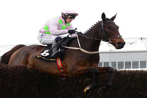 Willie Mullins Hits Back at Punters Over Gaelic Warrior's Absence