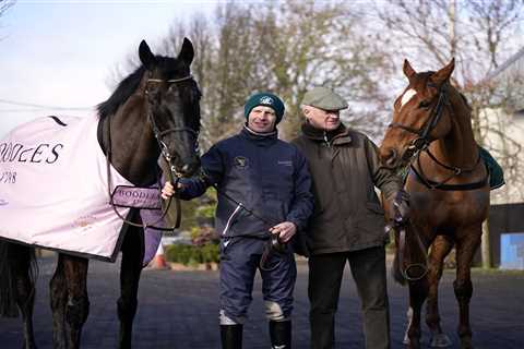 Willie Mullins’ Cheltenham Press Trip: A Diary from Ireland