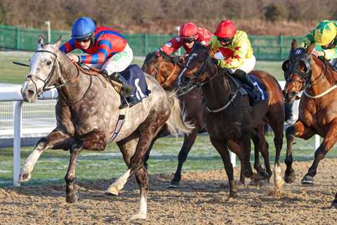 Three course specialists to keep a close eye on at Newcastle on Monday 👁️