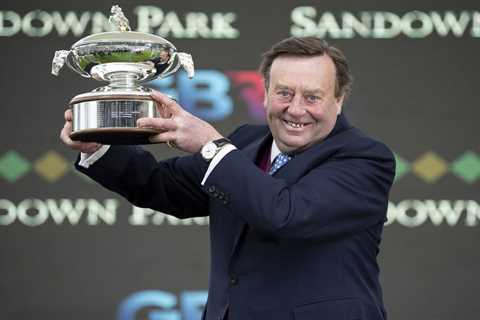 ‘He’s the sort you dream about’ – Nicky Henderson is raving about these four horses 🗣️