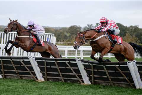 Ben Pauling confident his Cheltenham Festival NAP is ready for action