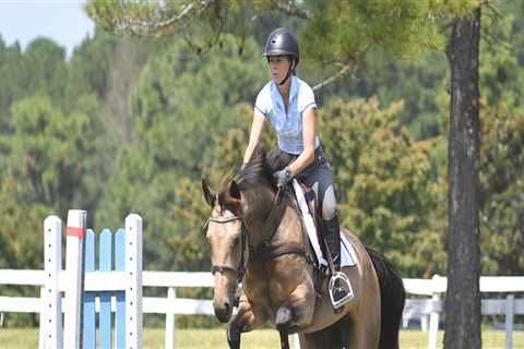 The Palmetto Carriage Classic: A Must-Attend Equestrian Event in Aiken, SC