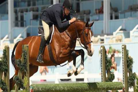 Experience the Excitement of Equestrian Events in Aiken, SC