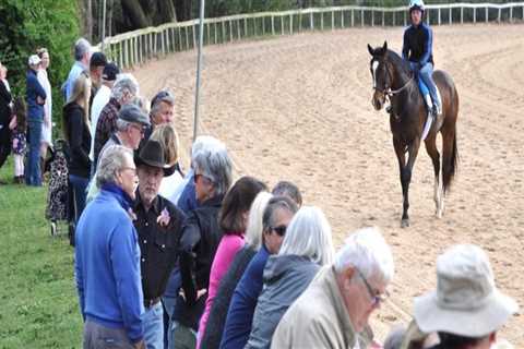 Discovering the Equestrian World in Aiken, SC