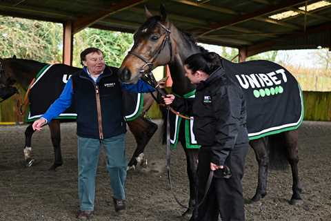 Defiant Nicky Henderson Sticks by Sir Gino Amidst Cheltenham Woes