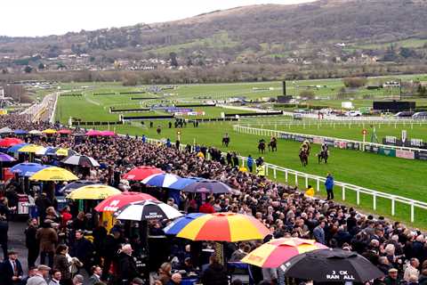 Cheltenham Festival 2024: Race Times Changed - What Happened?