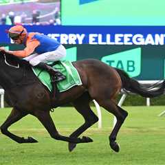 Think It Over Poised for Group 1 Glory in Reduced Ranvet Stakes Field