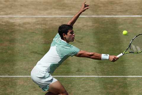 Alcaraz Could Meet Rune In Wimbledon QFs, Djokovic Learns Path