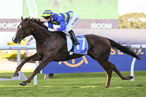 Doncaster Mile 2024 Field: Another Wil Aims for Historic Double