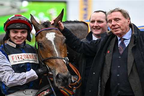 Harry Redknapp's Grand National Dream Deferred - Could Still Win Big on Ladies' Day at Aintree