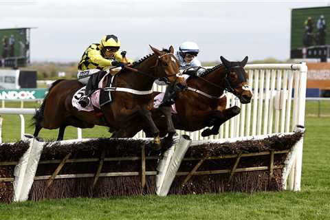 Aintree Bowl 2024: Who Won the Race? Complete Day 1 Results at Grand National Festival