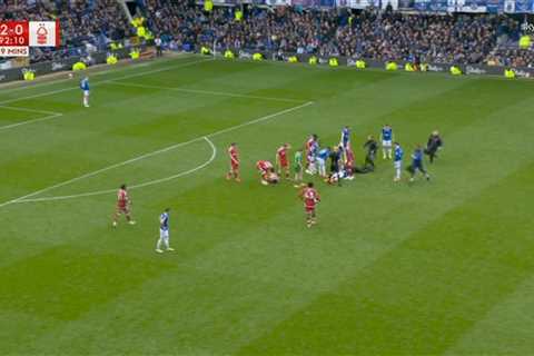 Everton vs Nottingham Forest Match Delayed After Clash of Heads