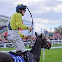 New Year’s Day Outsiders: Three big ones to follow at Cheltenham on Monday