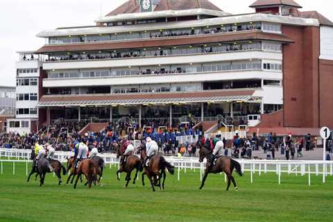 Newbury call morning inspection ahead of Friday card