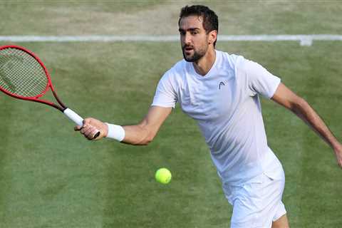 Former Wimbledon Finalist Cilic Withdraws