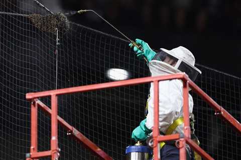 A Surprising Hero Emerged At Tuesday’s Diamondbacks, Dodgers Game