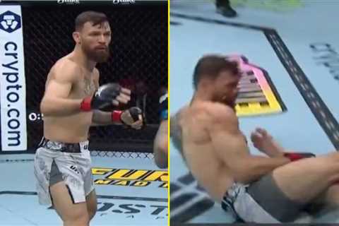 ‘Young Conor McGregor’ – Fans rave about new UFC star as debutant uses insane scissor move in..