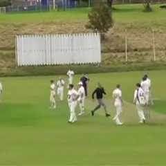 Watch as fans invade cricket pitch with bat and ball to fight as dog chases pair round in front of..