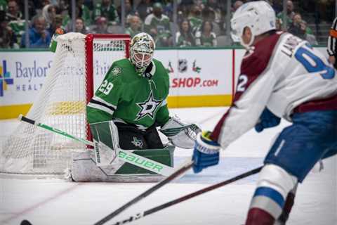 Western Conference Injuries: Ducks, Avalanche, Stars, Blues, Golden Knights, and the Jets