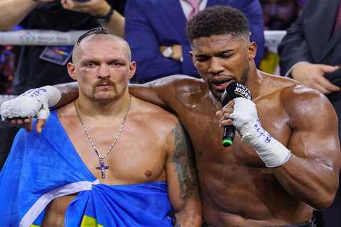 Oleksandr Usyk hints at Anthony Joshua trilogy fight