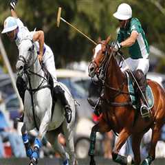 Polo in Aiken: The History and Legacy of This Prestigious Sport