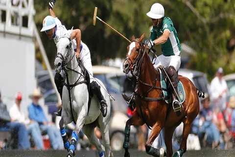 Polo in Aiken: The History and Legacy of This Prestigious Sport