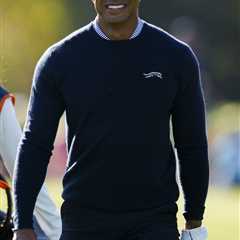 Tiger Woods lands $10million windfall for playing in just five golf events all year as Rory McIlroy ..