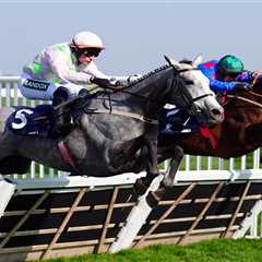 Lossiemouth PULLED from epic Champion Hurdle showdown against Constitution Hill and State Man.....