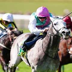 Gosden's 35-year Guineas drought might finally end with stunning grey Field Of Gold