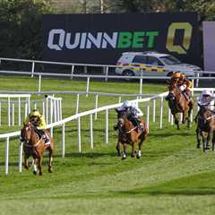 State Man Dominates Punchestown as Constitution Hill Flops Spectacularly