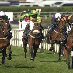 Punter Scores Life-Altering Payout from Ridiculous £8 Grand National Gamble – Bookies Left..