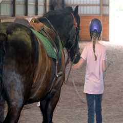 The Impact of Equine Medical Facilities on the Horse Industry in Beaver County, Pennsylvania