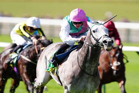 Gosden's 35-year Guineas drought might finally end with stunning grey Field Of Gold