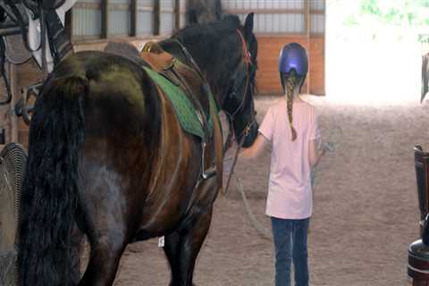 The Impact of Equine Medical Facilities on the Horse Industry in Beaver County, Pennsylvania