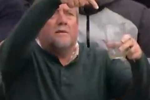 Fan demands England captain buy him a new pint after Harry Brook’s crunching boundary knocks drink..