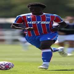 Wolves Eyeing £10m Palace Kid Who's Barely Played for the Eagles