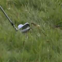 Shane Lowry's Meltdown at The Open: When Practice Swings Go Horribly Wrong