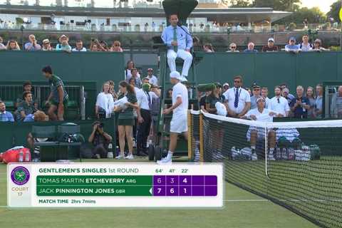 This Wimbledon Umpire Call Left Me Speechless (And I've Seen Everything)