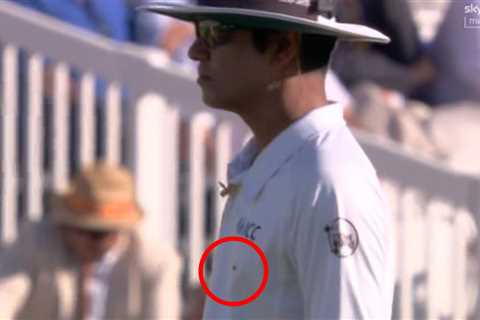 England Test against India STOPPED after swarm of ladybirds cause havoc on pitch
