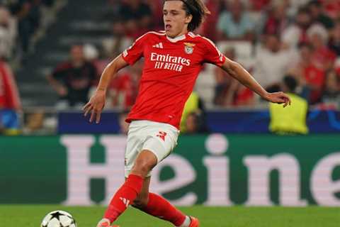 50M Deal Done: Real Madrid Claims Benfica’s Rising Left-Back Star Alvaro Carreras