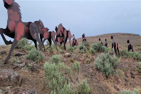 Exploring the Equine Community in Southwest Washington