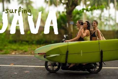surfing perfect longboard waves in JAVA