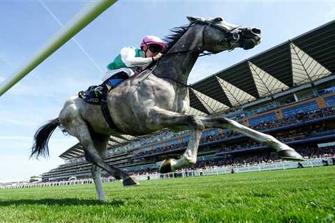 My 15-2 each-way punt that could embarrass the Goodwood favourite