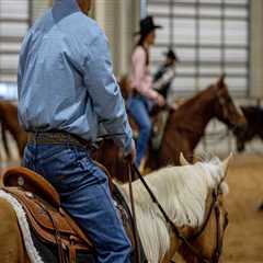 Mastering the Art of Entering Multiple Horses in One Class at Horse Shows in Northeast Ohio
