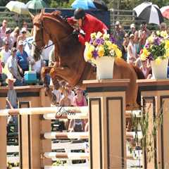 The Insider's Guide to the Cost of Spectating at Horse Shows in Northeast Ohio