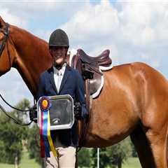 Horse Shows in Northeast Ohio: A Comprehensive Guide for Equestrian Enthusiasts