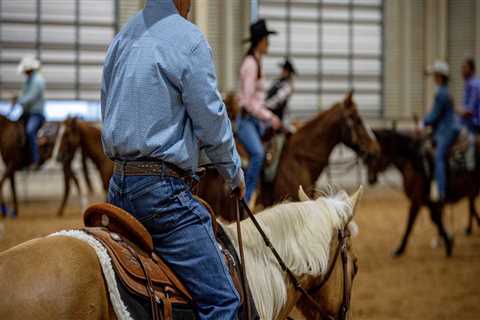 Mastering the Art of Entering Multiple Horses in One Class at Horse Shows in Northeast Ohio